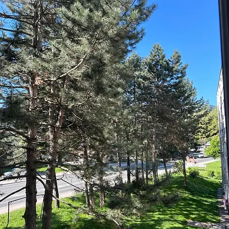 Nayla Sarajevo