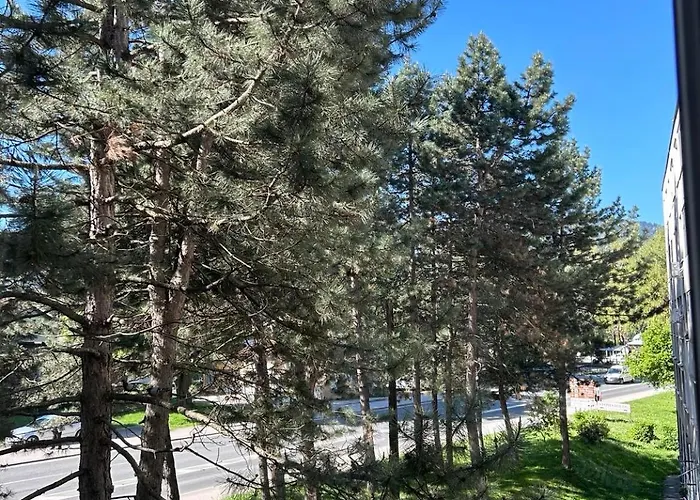 Nayla סראייבו